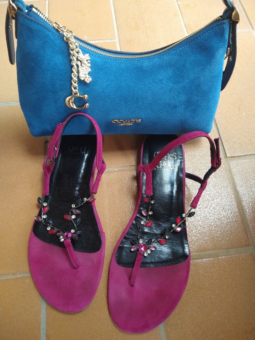 Charles David Fuchsia Suede Jeweled T-Strap Sandals